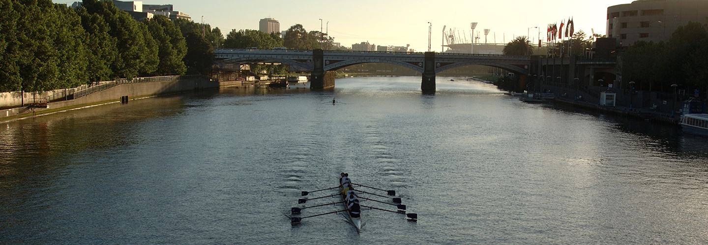 Rowers on the Yarra River
